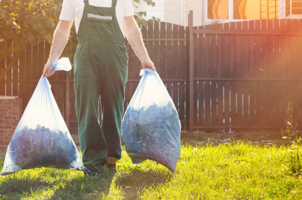 Best Dumpster Rental Services  in Holly, MI
