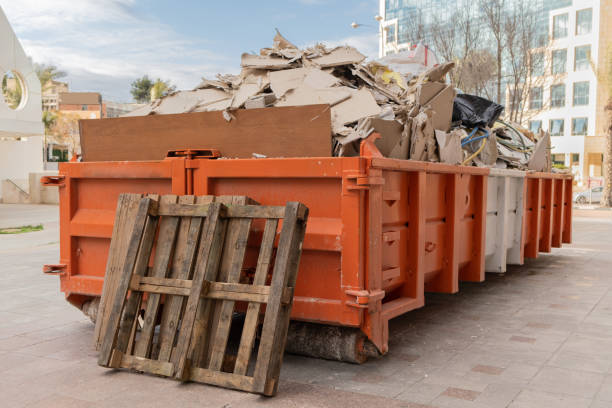 Best Household Junk Removal  in Holly, MI