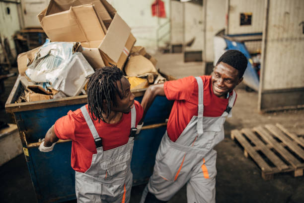 Best Junk Hauling Services  in Holly, MI